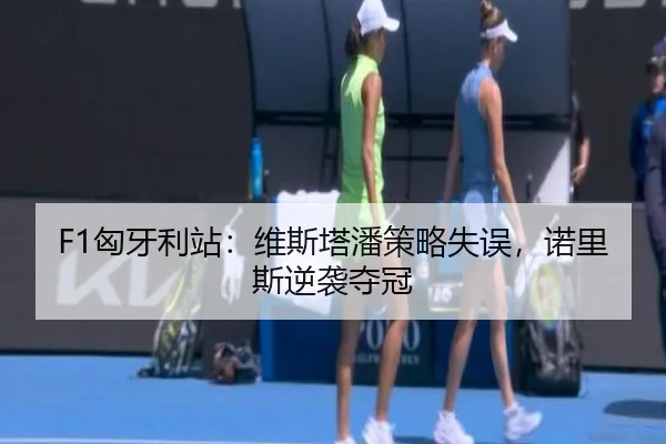 xiong-ya-li-zhan-wei-si-ta-pan-ce-lve-shi-wu-nuo-li-si-ni-xi-duo-guan-3-833.jpg