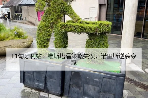 F1匈牙利站：维斯塔潘策略失误，诺里斯逆袭夺冠