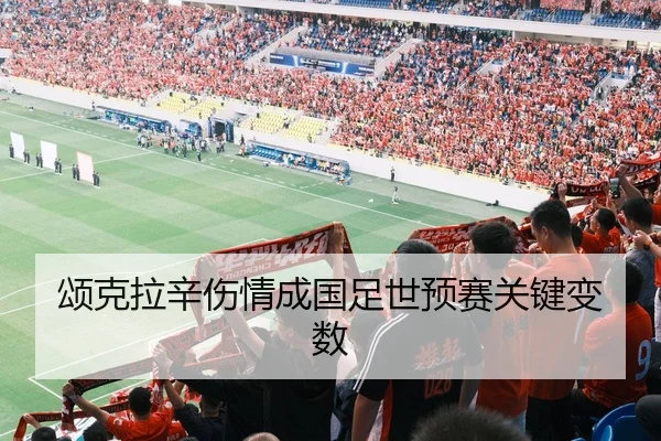 颂克拉辛伤情成国足世预赛关键变数