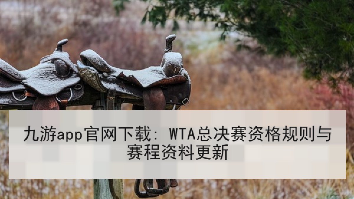 九游app官网下载: WTA总决赛资格规则与赛程资料更新
