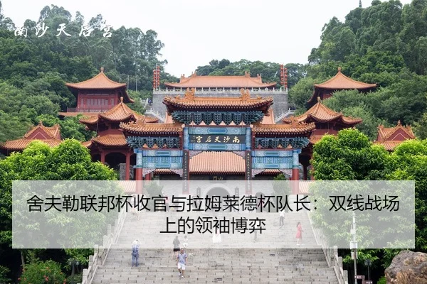 she-fu-lei-lian-bang-bei-shou-guan-yu-la-mu-lai-de-bei-dui-zhang-shuang-xian-zhan-chang-shang-de-ling-xiu-bo-yi-2-657.jpg