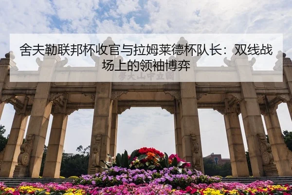 she-fu-lei-lian-bang-bei-shou-guan-yu-la-mu-lai-de-bei-dui-zhang-shuang-xian-zhan-chang-shang-de-ling-xiu-bo-yi-3-222.jpg