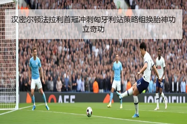 han-mi-er-dun-fa-la-li-shou-guan-chong-ci-xiong-ya-li-zhan-ce-lve-zu-huan-tai-shen-gong-li-qi-gong-2-562.jpg