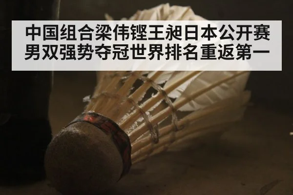 中国组合梁伟铿王昶日本公开赛男双强势夺冠世界排名重返第一